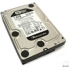 WD 1 TB 7200 TPM 64 MB SATA3 CAVİAR BLACK